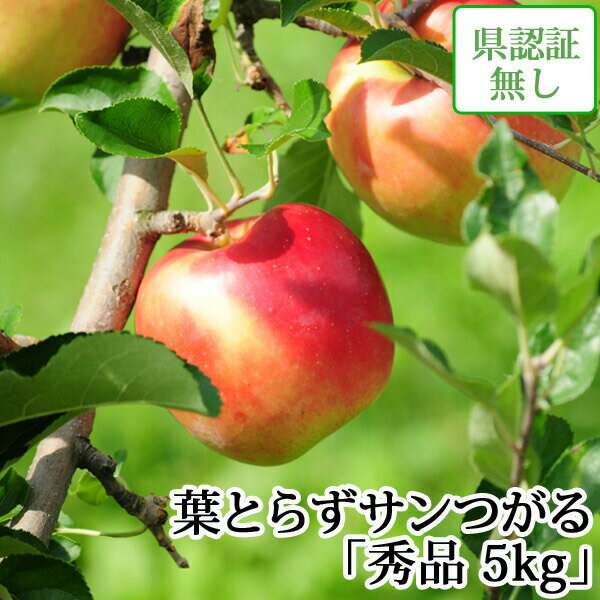 順次発送中！贈り物にも葉とらずサン...