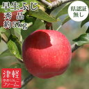 9/30までポイント3倍!【送料無料】 早生ふじ(ひろさきふじ・ほのか) 秀品 約5kg(14-20個入) 県認証無し 青森県特別栽培農産物認証取得 産地直送 ...
