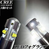 ALLCREE24w