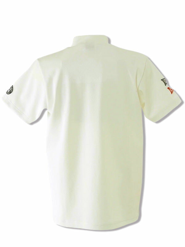 【ソックス プレゼントフェア】シナコバ ゴルフ sina cova シナコバ新作 半袖ポロシャツ 新作春夏 ちょいワル 大きいサイズ メンズ sinacova ちょい悪 ゴルフウェア ラッピング無料【送料無料】在庫ありの商品は15時までの注文で土日祝日も休まず発送 24150530 M/L/LL