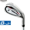 yWjApzBRIDGESTONE -uaXg- B-Jr ACAi#7,#9,SWj 2024Nf B-JrIWiVtg BJ-Ir[WjA Type130/Type150