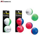 KASCO -キャスコ-KIRA LINE PRACTICE（キラライン プラクティス）2球入パター練習用ボール