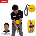 LITE -ライト- スウィングインストラクターボール【M-226】(4)