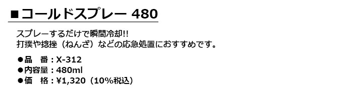 LITE -ライト- コールドスプレー 480【X-312】（関連商品：X-311）