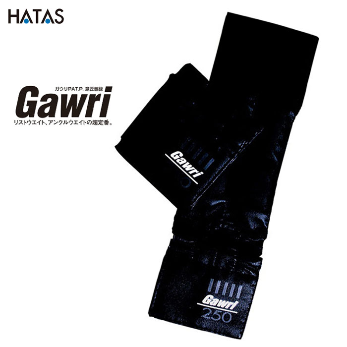 HATAS -ʤϤ˱ư- Gawriʥ ꥹȥ 250g2ĥåȡˡ25W2502