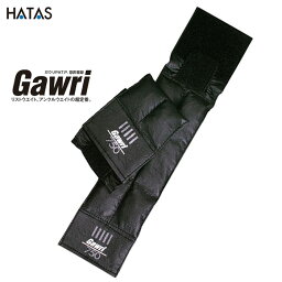 HATAS -秦（はた）運動具- Gawri（ガウリ） アンクルウエイト 750g（2個セット）【25W7502】