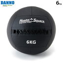 DANNO -ダンノ-ウォールメディシン 6kg【D5253】メディシンボール淡野製作所