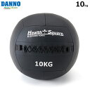 DANNO -ダンノ-ウォールメディシン 10kg【D5255】メディシンボール淡野製作所