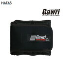 HATAS -秦（はた）運動具- Gawri（ガウリ） アンクルウエイト 2kg（2個セット）【GWS2000】 1