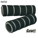 HATAS -秦（はた）運動具- Gawri（ガウリ） ミニハンドウエイト 500g（2個セット）【GWM5502】