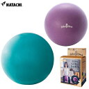 HATACHI - ハタチ - スッキリコアボール30cm【NH3600】/20cm【NH3601】 羽立工業