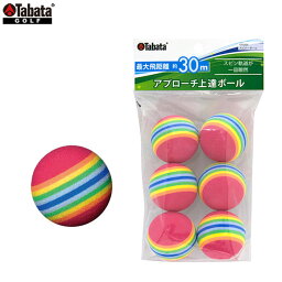 【 トレーニングボール】 タバタ -Tabata- スピナーボール 【GV-0305　GV0305】