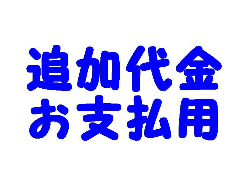 追加代金お支払い用の出品です