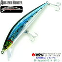AncienHunter 激飛び! 強度重視 VMC製 3x トレブルフック 装備 貫通アイ仕様 大物OK ! 120mm-40g シンキングミノー D-Sni...