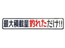 最大積載量釣れただけ パロディステッカー 釣人 海人に カッティングステッカー 横20センチステッカー おまけ付 色変更できます 黒赤 白赤