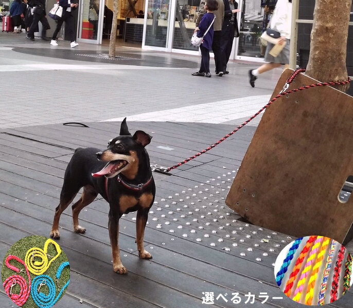 犬のリード　ファンクションリード