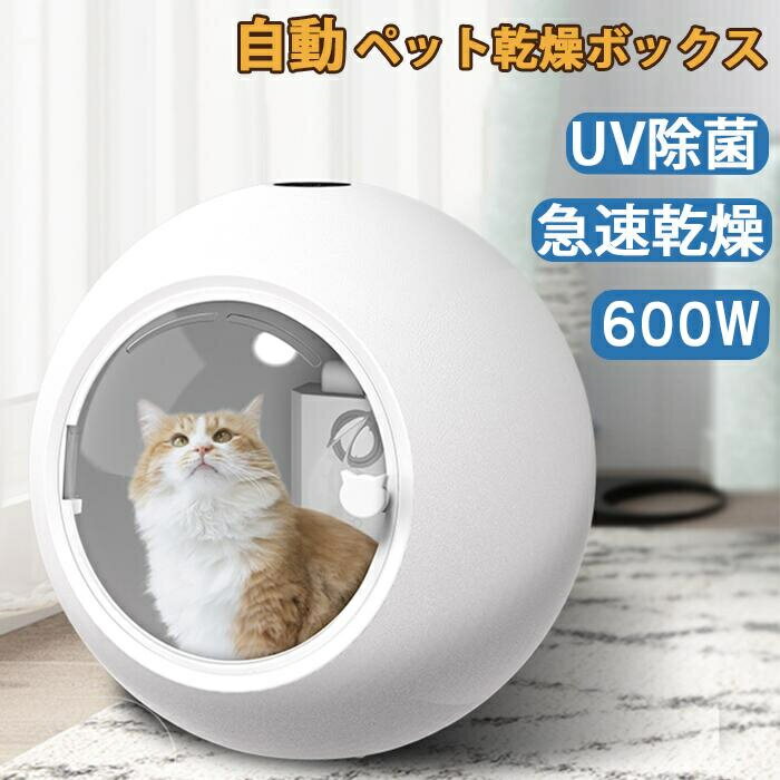 ڥåȴܥå ڥåȴȢ ưɥ饤ܡ ɥ饤䡼 600W 50L   ǭ  Ϥ ޡǽ  UV֥롼饤 ޥʥ   ® ® ڥåȥϥ ɥ饤 롼 ۴