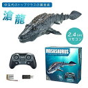 最新型 恐竜 海洋動物 リモコン おもちゃ モササウルス水おもちゃ USB充電 夏対策 プレゼント バッテリ2つ RCリモートコントロールロボット 子供のためのプールのおもちゃ プール湖のためのおもちゃ AGE