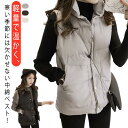 立ち襟 保温 秋 暖かい ベスト 中綿ベスト 防寒 冬 無地 ダウン風ベスト 中綿 ショートベスト 部屋着 レディース 前開き アウター ベスト トップス 軽量 春 お洒落 防風 重ね着 袖なし 防寒着 痩せ着 秋 冬 アウトドア 通勤 通学 無地 シンプル 大きいサイズ(4)