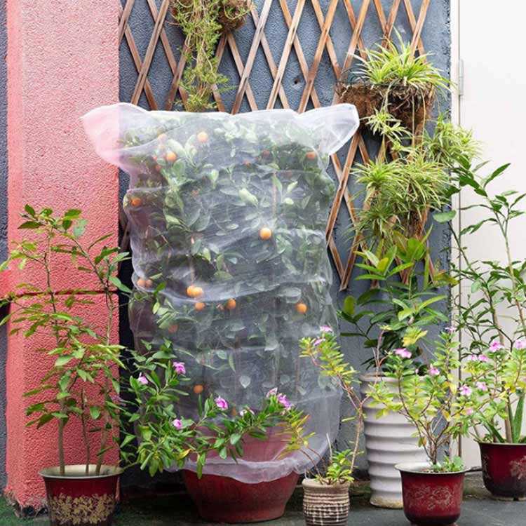 3個セット 防虫ネット 花 畑 農業用 虫鳥除け網 菜園 虫よけネット 防虫シート 通...