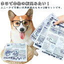 小型犬 新聞おもちゃ 犬用 3個セット 噛むおもちゃ 知育おもちゃ 音が鳴る 犬用玩具 歯磨き 耐久性 水洗いOK ストレス解消 犬のおもちゃ 中型犬 洗える ...
