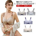 ブラジャー 薄い 2枚セット!全20サイズ 背中 胸を小さく見せるブラ ノンワイヤーブラ 着痩せブラ フルカップ バストメイク 脇肉 大きいサイズ スッキリ 脇高 補正下着 美胸 2枚セット!全20サイズ 垂れ胸 レースブラ 下着 スマートブラ
