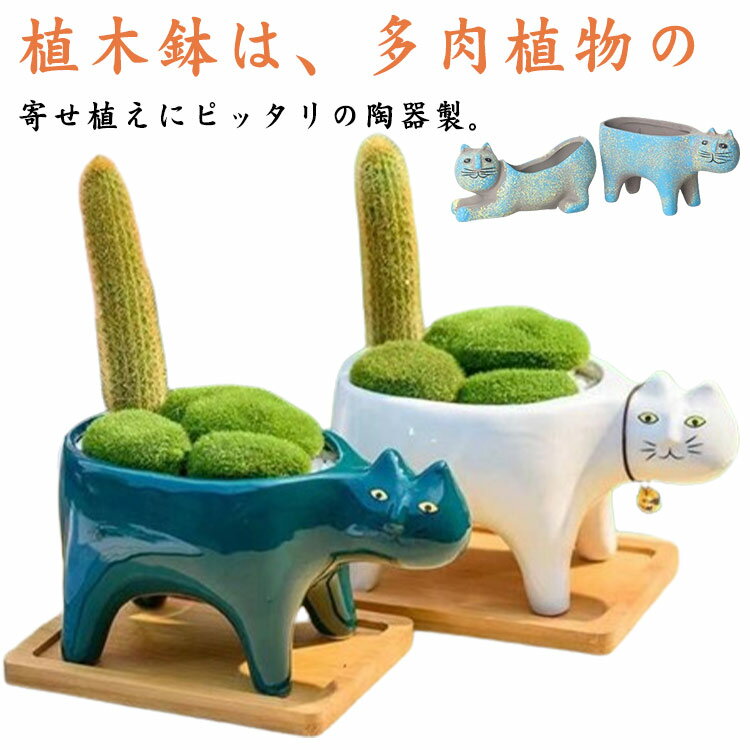 Glass Bowls - ミニ プランター 植木鉢 多肉植物鉢 寄せ植え 2個セット 猫 サボテン鉢 ホーム かわいい 観葉植物 プランター ミニ植物適用 ガーデン おしゃれ 飾り プレゼント 多肉植物