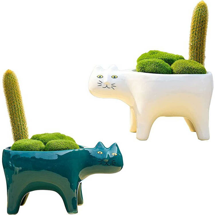ミニ プランター 植木鉢 多肉植物鉢 寄せ植え 2個セット 猫 サボテン鉢 ホーム か...