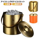 アイスバケット アイストング付 大容量 2L アイスペール ワインクーラー アイススクープ 二重壁断熱 ステンレス 氷入れ 溶けにくい 氷バケツ ワイン 酒 クーラー ポータブル 蓋付き ハンドル付き 真空二重 シャンパンクーラー 保冷容器 大きめ 家庭用 業務用