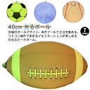 全7種 光るビーチボール ビーチボール 光る LEDライト 40cm 防水 光るボール リモコン 調光 おもちゃ 旅行 アウトドア 子ども 調光 カラフル いろんな色 屋外 イルミ ナイトプール プレゼント