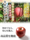 りんご 2kg 青森県産 規格外 サンふじ
