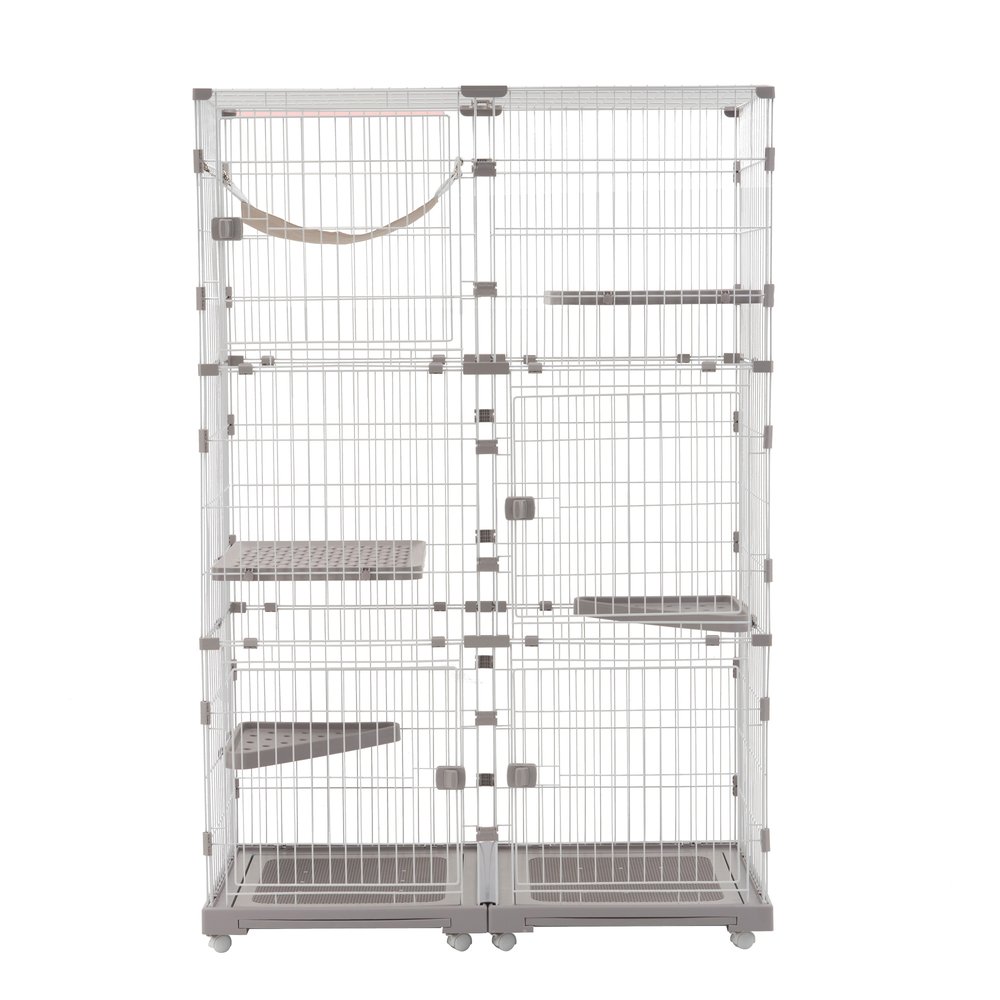 2025ǯ ǭ  åȥ 3 ߷ ͳȤ߹碌 ǭɥդ ϥåդ 緿 ǭ 鴶  åȥϥ ͥ...