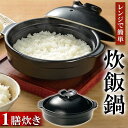 電子レンジ専用鍋 調理器 小ぶり鍋 蓋付き 鍋料理 ご飯が炊ける 一膳分 陶器 楽炊鍋