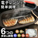 電子レンジ専用調理器 レンジ調理 焼き魚 レンジで焼き魚 蒸し器 電子レンジ魚焼き器 電子レンジ調理器HDL