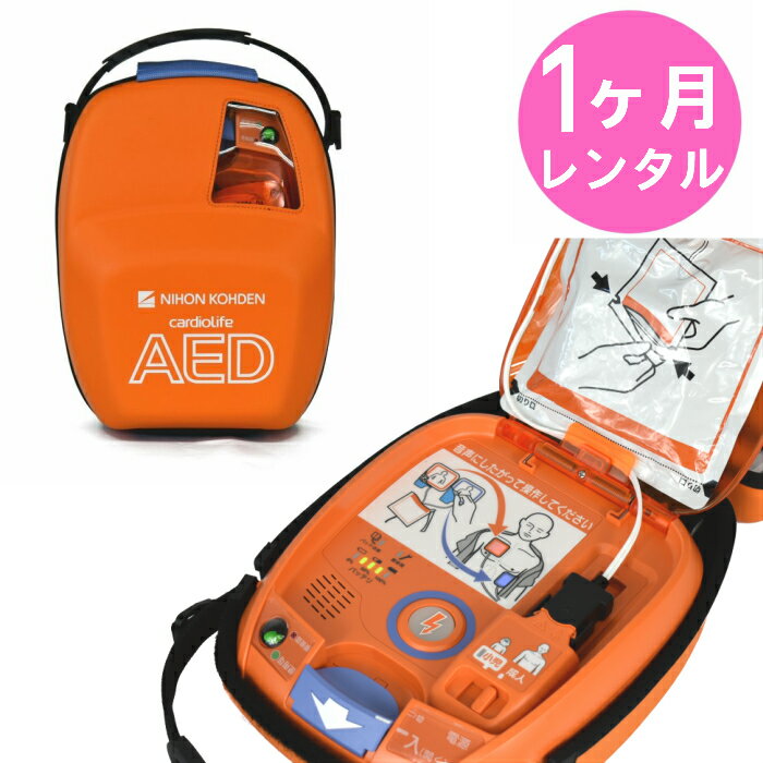 1֥󥿥AED-3100 ưγư AED 󥿥 ܸ ⡼ӥդ