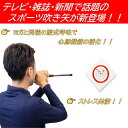 【送料無料】NEWデュエラー500 スポーツ仕様吹き矢 【楽しみながらストレス発散♪】