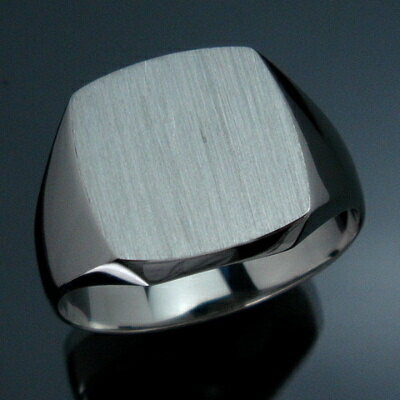 メンズリング 三味(小) 印台 シグネットリング プラチナ PT Pt900 印台リング 指輪 リング メンズ mens 男性 ring mensring