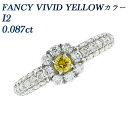 イエローダイヤモンド リング 0.087ct I2-FANCY VIVID YELLOW-ラウンドブリリアントカット プラチナ Pt950 カラーダイヤ ファンシーカラー イエローダイヤ ビビット ビビッド ダイヤモンドリング ダイヤリング ダイア ダイアモンド 指輪