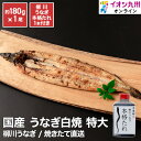 焼きたて直送 国産うなぎ白焼き1尾 特大約180g(柳川うなぎ本格たれ1本付き)龍川魚商店 ギフト 敬老の日 食べ物 プレゼント 鰻 ウナギ 蒲焼 国産 国内産 お祝い 内祝い 結婚内祝い グルメ 丑の日 土用の丑の日 焼きたて