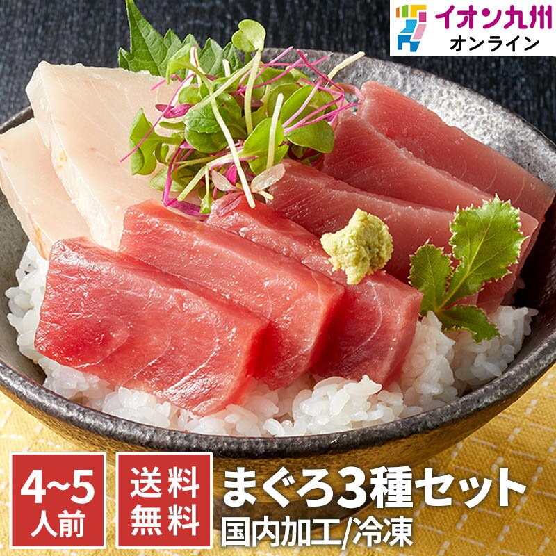 魚 マグロ 赤身 冷凍まぐろ 3種セット 4～5人前 新洋水産 冷凍 魚 切り身 お刺身 刺身 さしみ 海鮮丼 手巻き寿司 ネタ グルメ