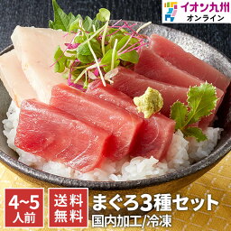 【最大500円OFFクーポン配布中♪4/24 20:00~4/30 9:59】 魚 マグロ 赤身 冷凍まぐろ 3種セット 4～5人前 新洋水産 冷凍 魚 切り身 お刺身 刺身 さしみ 海鮮丼 手巻き寿司 ネタ グルメ