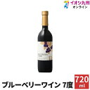 【P3倍★5/30 0:00~6/2 9:59】 ワイン ブルーベリーワイン 7度 720ml 巨峰ワイナリー 福岡 田主丸 美味しい おすすめ ワイン部門1位...