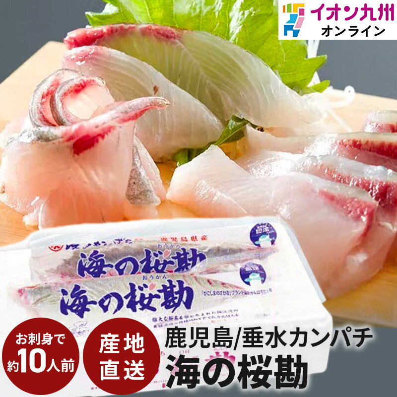 刺し身さしみ冷蔵海の桜勘 垂水カンパチ かんぱち 鹿児島県産 国産 海鮮 半身 魚 さかなグルメ ギフト お取り寄せ お取り寄せグルメ 贈り物 煮魚 おかず 一人暮らし イオン九州 送料無料