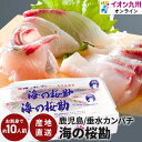 [丸山海産] カンパチ 鹿児島産かんぱち刺身 10切×2PC / 国産 養殖 かんぱち 魚 刺身 切り身 新鮮 鮮度 おつまみ 鹿児島県 ご当地グルメ お取り寄せグルメ