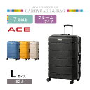 ACE セクションフレームキャリー L ブラック(4)