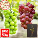【P3倍★7/15 0:00~7/16 9:59】 ブラックシャインマスカット 【富士の輝】 + シャインマスカット 各500g 鹿児島県産 ぶどうセット 霧島...