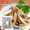 【P3倍★5/5 0:00~5/7 9:59】 鹿児島県産きびなご唐揚げ 1kg