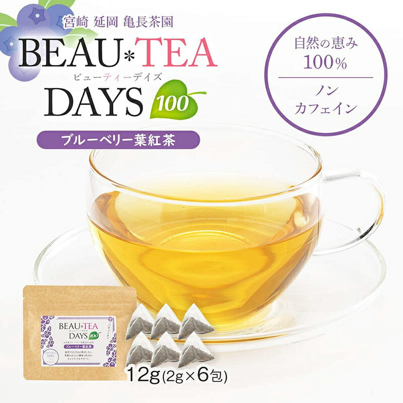 BEAU*TEA DAYS 12g(2×6包)