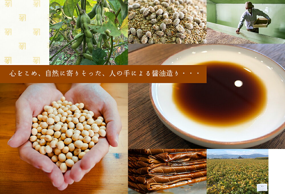 【P3倍★11/25 0:00~11/26 9:59】 淡口醤油/八方だし醤油　2種セット 2