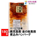 鹿児島産 金の桜黒豚 煮込みハンバーグ 180g(4)